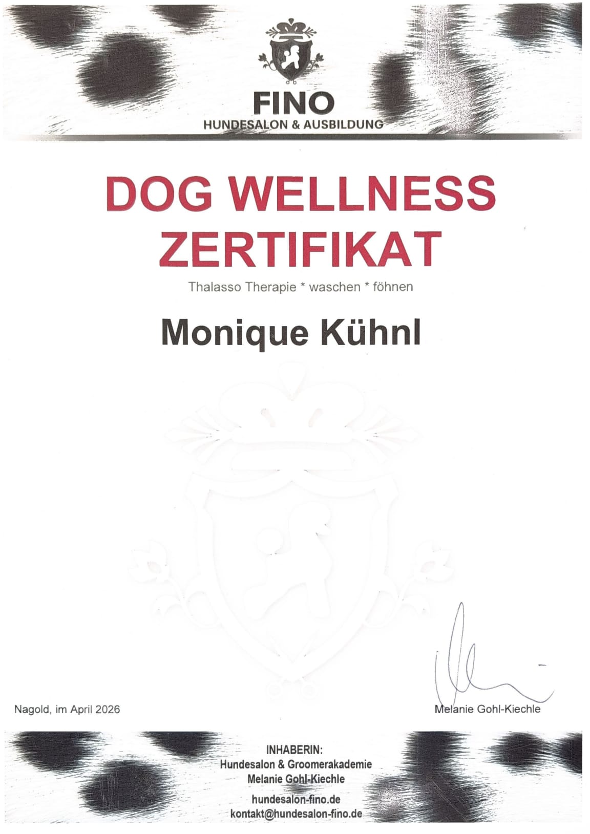 Dog Wellness Zertifikat, Thalasso Therapie