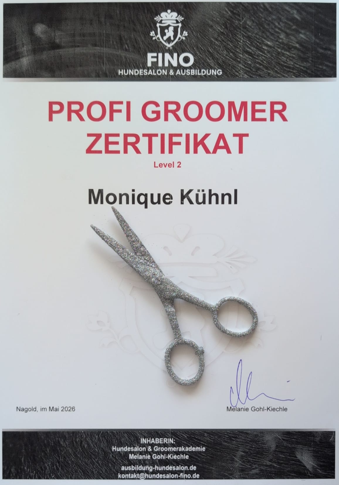 Profi Groomer Zertifikat, Level 2
