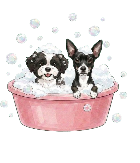 Zwei Hunde in der Badewanne